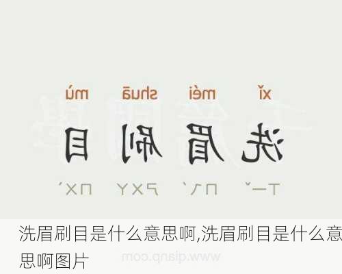洗眉刷目是什么意思啊,洗眉刷目是什么意思啊图片