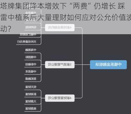 塔牌集团降本增效下“两费”仍增长 踩雷中植系后大量理财如何应对公允价值波动？