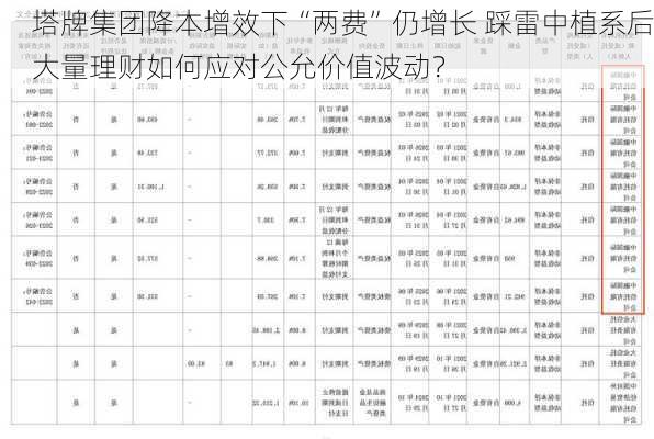 塔牌集团降本增效下“两费”仍增长 踩雷中植系后大量理财如何应对公允价值波动？