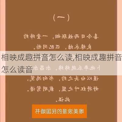 相映成趣拼音怎么读,相映成趣拼音怎么读音