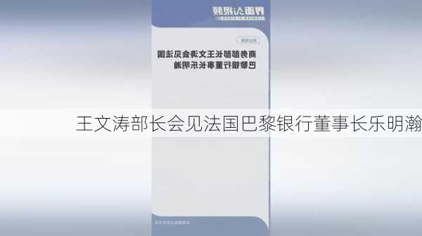 王文涛部长会见法国巴黎银行董事长乐明瀚