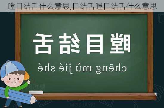 瞠目结舌什么意思,目结舌瞠目结舌什么意思