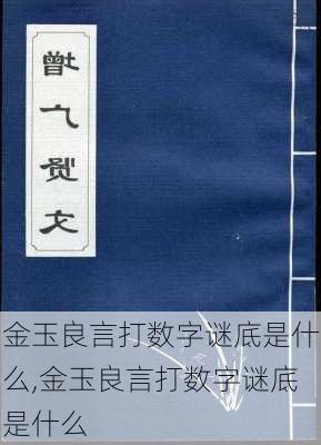 金玉良言打数字谜底是什么,金玉良言打数字谜底是什么