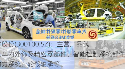 双林股份(300100.SZ)：主营产品包括汽车内外饰及精密零部件、智能控制系统部件、动力系统、轮毂轴承等