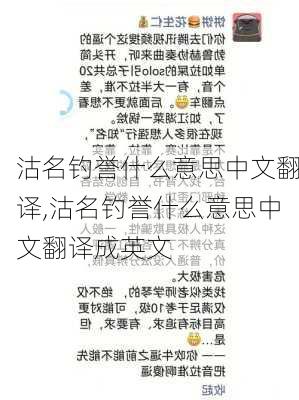 沽名钓誉什么意思中文翻译,沽名钓誉什么意思中文翻译成英文