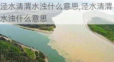 泾水清渭水浊什么意思,泾水清渭水浊什么意思