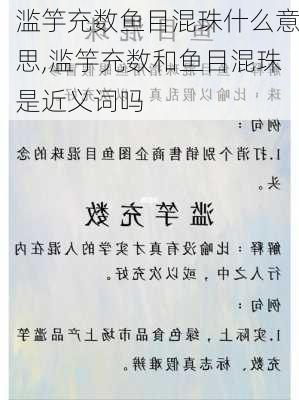 滥竽充数鱼目混珠什么意思,滥竽充数和鱼目混珠是近义词吗