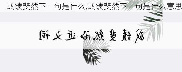 成绩斐然下一句是什么,成绩斐然下一句是什么意思