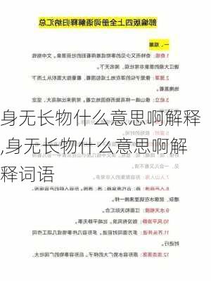 身无长物什么意思啊解释,身无长物什么意思啊解释词语