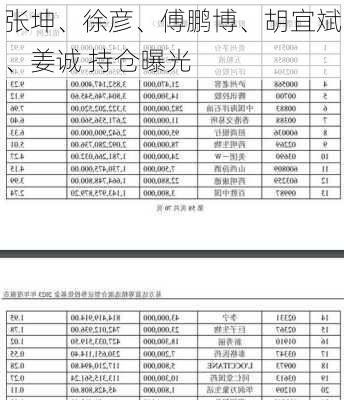 张坤、徐彦、傅鹏博、胡宜斌、姜诚 持仓曝光