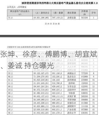 张坤、徐彦、傅鹏博、胡宜斌、姜诚 持仓曝光