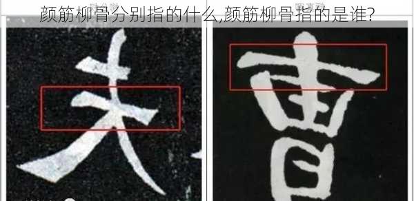 颜筋柳骨分别指的什么,颜筋柳骨指的是谁?