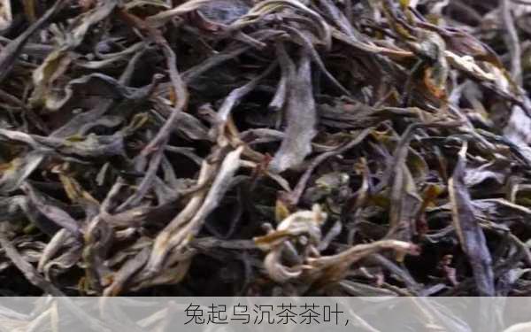 兔起乌沉茶茶叶,