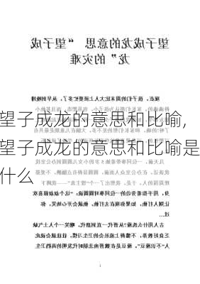 望子成龙的意思和比喻,望子成龙的意思和比喻是什么