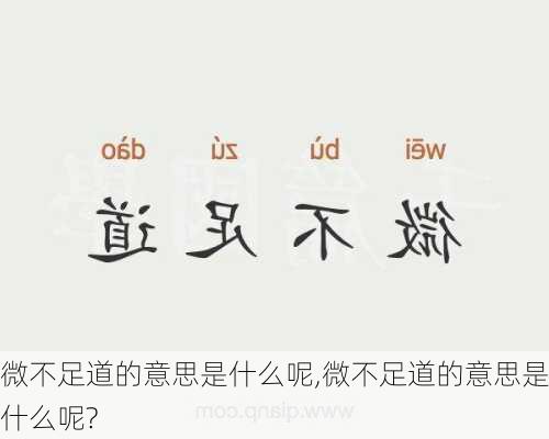 微不足道的意思是什么呢,微不足道的意思是什么呢?