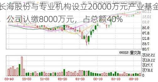 长海股份与专业机构设立20000万元产业基金，公司认缴8000万元，占总额40%