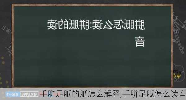 手胼足胝的胝怎么解释,手胼足胝怎么读音