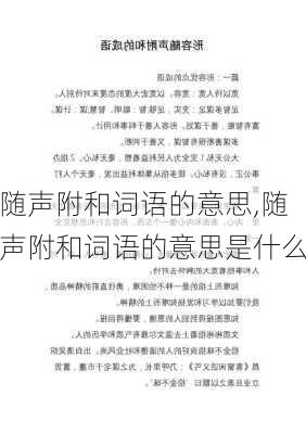 随声附和词语的意思,随声附和词语的意思是什么