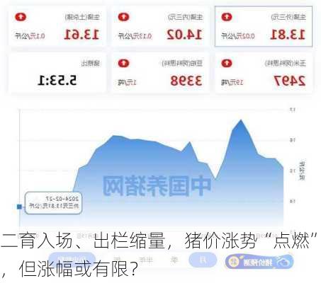 二育入场、出栏缩量，猪价涨势“点燃”，但涨幅或有限？