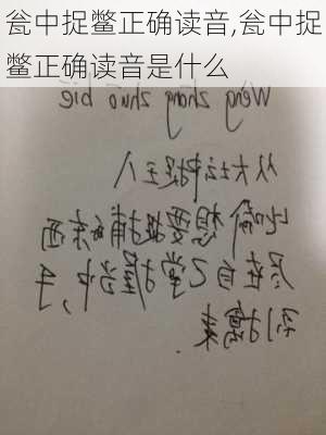 瓮中捉鳖正确读音,瓮中捉鳖正确读音是什么