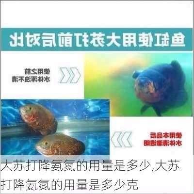 大苏打降氨氮的用量是多少,大苏打降氨氮的用量是多少克