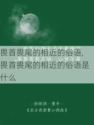 畏首畏尾的相近的俗语,畏首畏尾的相近的俗语是什么