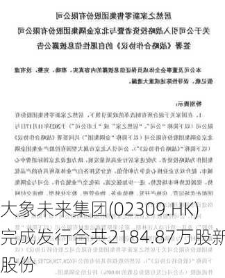 大象未来集团(02309.HK)完成发行合共2184.87万股新股份