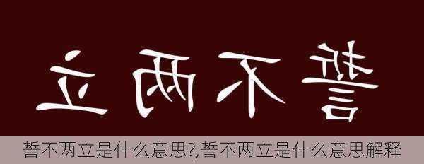 誓不两立是什么意思?,誓不两立是什么意思解释