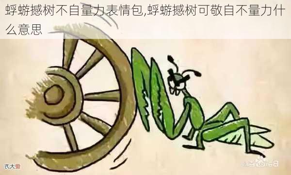 蜉蝣撼树不自量力表情包,蜉蝣撼树可敬自不量力什么意思