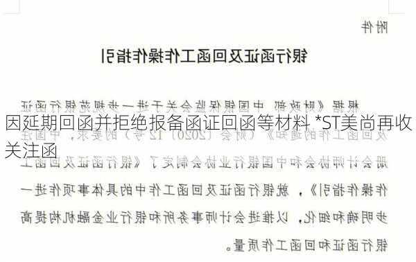 因延期回函并拒绝报备函证回函等材料 *ST美尚再收关注函