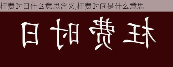 枉费时日什么意思含义,枉费时间是什么意思