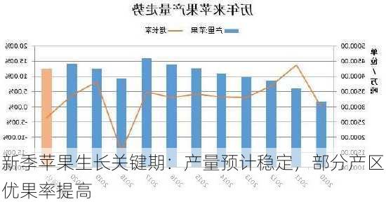 新季苹果生长关键期：产量预计稳定，部分产区优果率提高