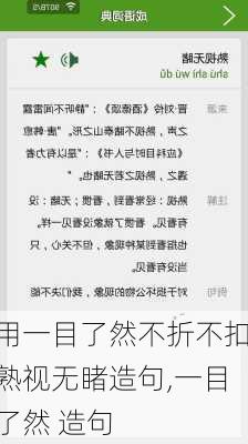 用一目了然不折不扣熟视无睹造句,一目了然 造句