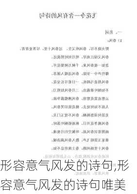 形容意气风发的诗句,形容意气风发的诗句唯美