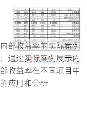 内部收益率的实际案例：通过实际案例展示内部收益率在不同项目中的应用和分析