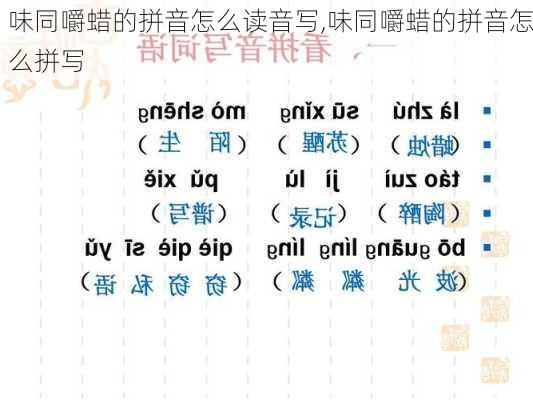 味同嚼蜡的拼音怎么读音写,味同嚼蜡的拼音怎么拼写