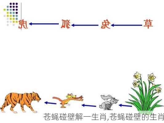 苍蝇碰壁解一生肖,苍蝇碰壁的生肖