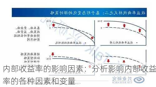 内部收益率的影响因素：分析影响内部收益率的各种因素和变量