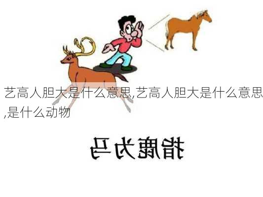 艺高人胆大是什么意思,艺高人胆大是什么意思,是什么动物