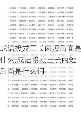 成语接龙三长两短后面是什么,成语接龙三长两短后面是什么词