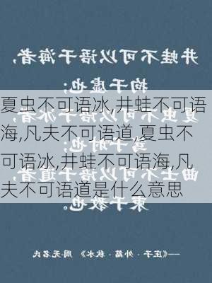 夏虫不可语冰,井蛙不可语海,凡夫不可语道,夏虫不可语冰,井蛙不可语海,凡夫不可语道是什么意思