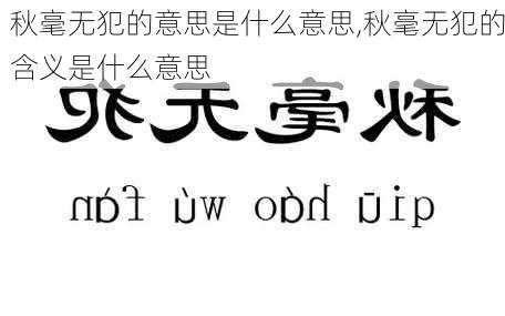 秋毫无犯的意思是什么意思,秋毫无犯的含义是什么意思