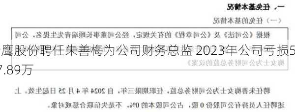 青鹰股份聘任朱善梅为公司财务总监 2023年公司亏损517.89万