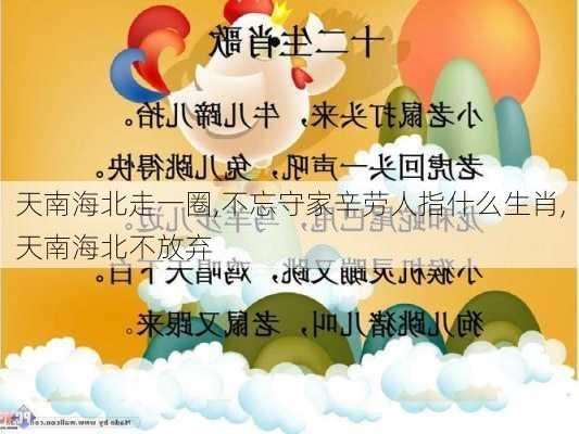 天南海北走一圈,不忘守家辛劳人指什么生肖,天南海北不放弃