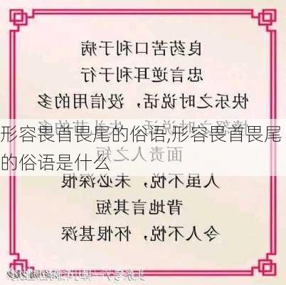 形容畏首畏尾的俗语,形容畏首畏尾的俗语是什么