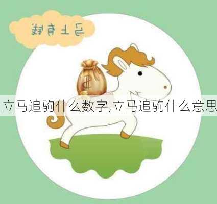 立马追驹什么数字,立马追驹什么意思