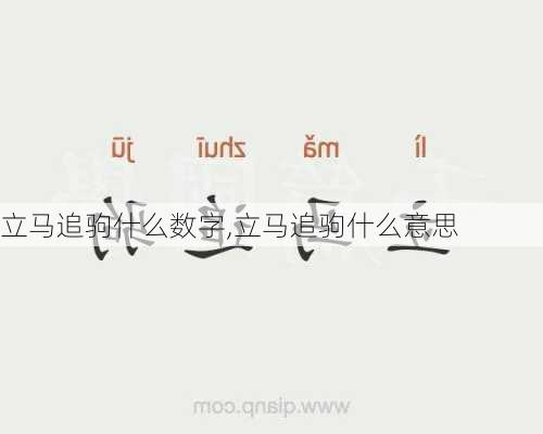 立马追驹什么数字,立马追驹什么意思