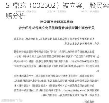 ST鼎龙（002502）被立案，股民索赔分析