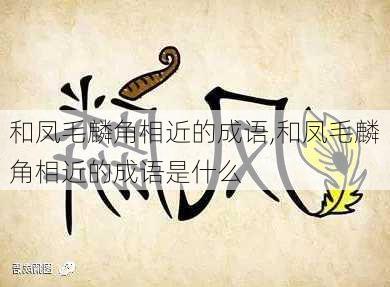 和凤毛麟角相近的成语,和凤毛麟角相近的成语是什么