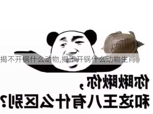 揭不开锅什么动物,揭不开锅什么动物生肖